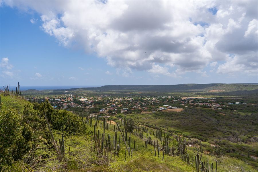 Bonaire hills